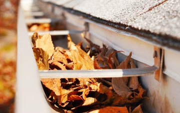 Allandale gutter cleaning companies