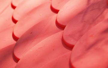 Allandale plastic roof costs